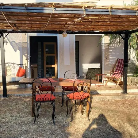 - Piscine Et Jardin - Ajaccio Cuttoli-Corticchiato